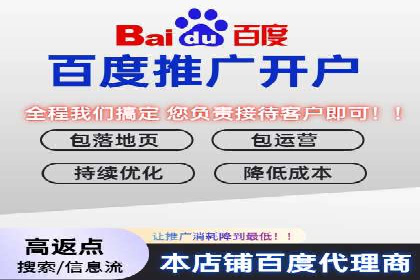 百度竞价广告在电商行业的实战应用案例